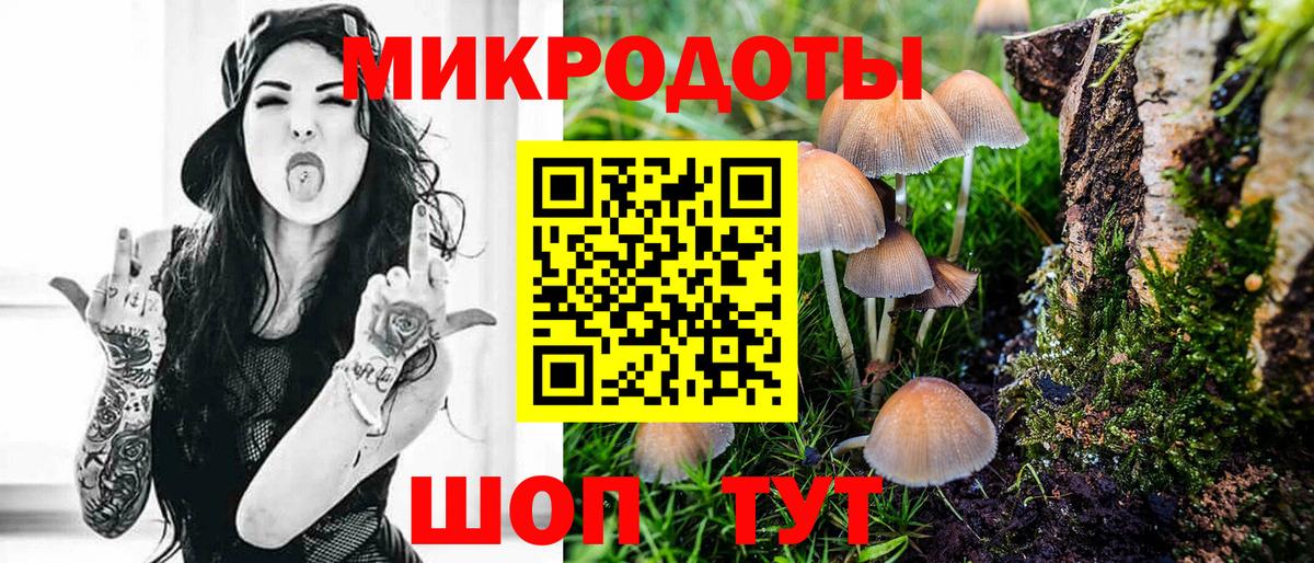 Галлюциногенные грибы мицелий  Вход с VPN  Галлюциногенные грибы Psilocybe  Майкоп 