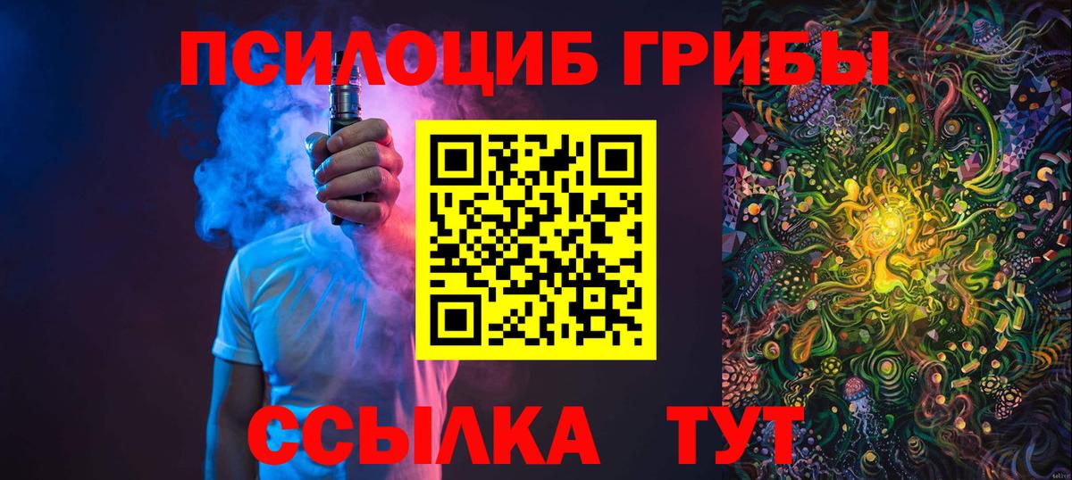 Псилоцибиновые грибы Psilocybine cubensis Майкоп